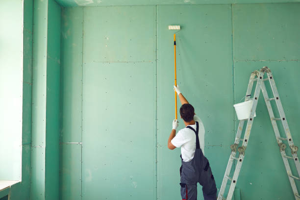 Best Asbestos and Lead Testing During Mold Inspection  in Belpre, OH
