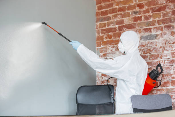 Best Dehumidification Services  in Belpre, OH