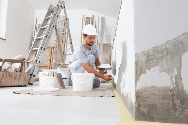 Best Water Damage & Mold Remediation  in Belpre, OH