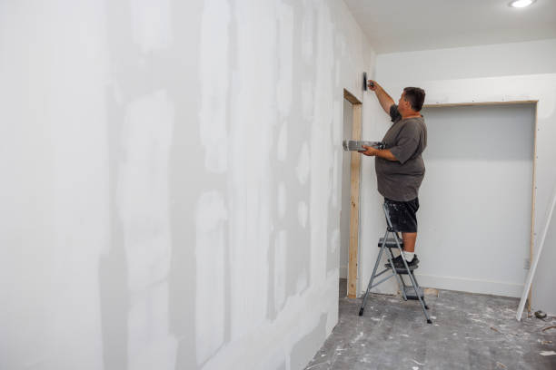 Belpre, OH Mold Removal Company
