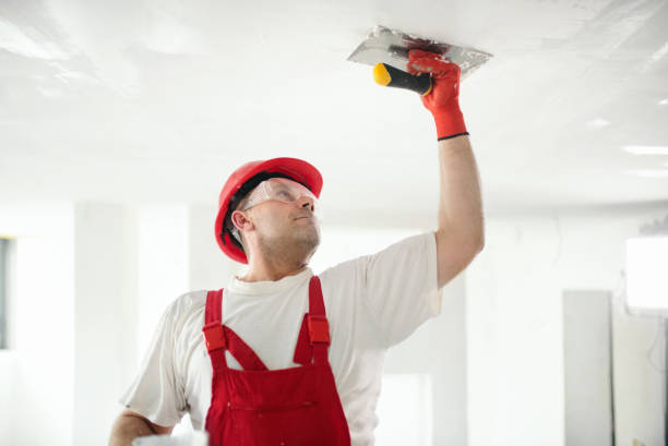 Asbestos and Lead Testing During Mold Inspection in Belpre, OH