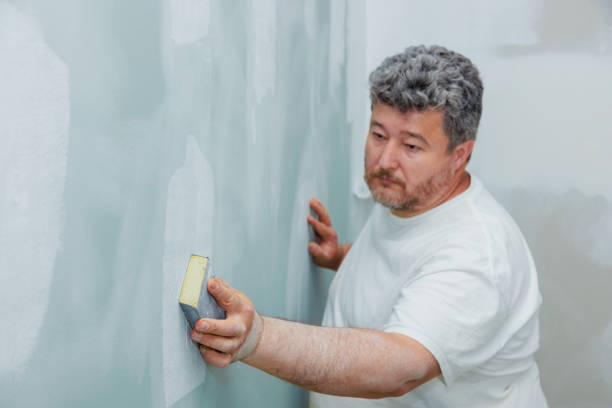 Best Comprehensive Air Testing for Mold Contaminants  in Belpre, OH