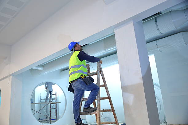 Best Mold Odor Removal Services  in Belpre, OH
