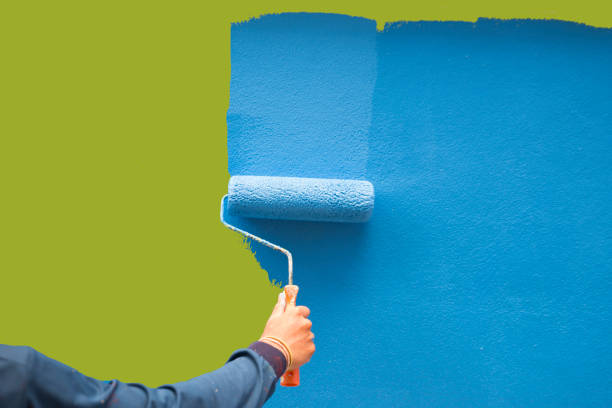 Mold Odor Removal Services in Belpre, OH