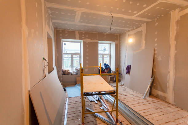Best Forensic Mold Investigation  in Belpre, OH