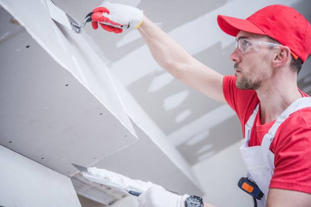 Mold Remediation for Vacation Homes in Belpre, OH